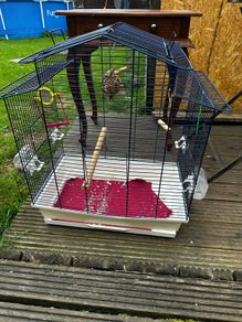 Birdcage