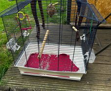 Birdcage
