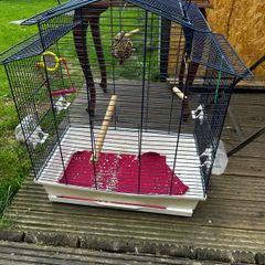 Birdcage