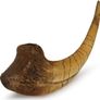 1/1  copy of a prehistoric megaraptor claw Image 8