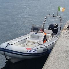 Rib for Sale