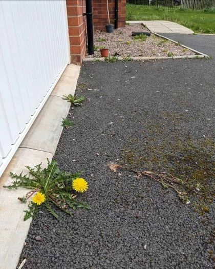 driveway sealer
