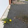 driveway sealer Image 7