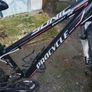 Bicke Image 3