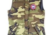 canada goose