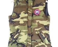 canada goose