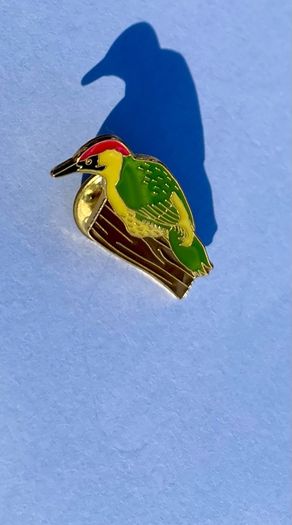 Collectable RSPB Pins