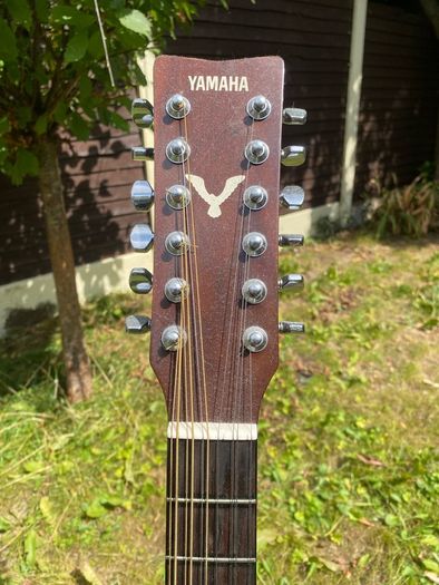 12-String Acoustic Electric Guitar (Yamaha FG420E-12)