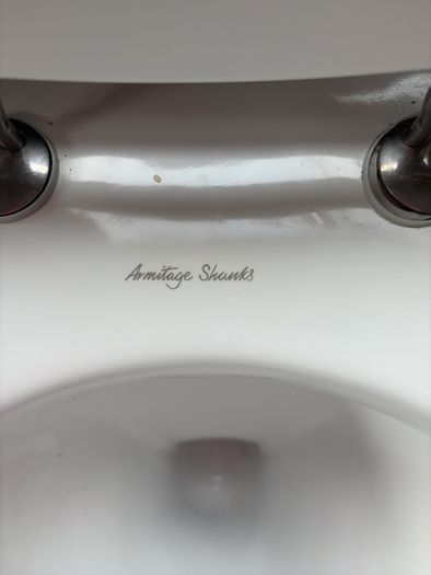 Toilet and sink