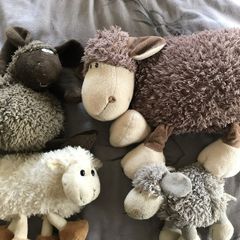 Teddies