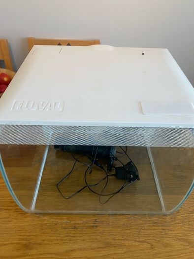 60 litre fish tank