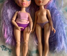 Rainbow high dolls