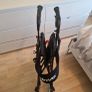 Rollator Mint Condition Image 2