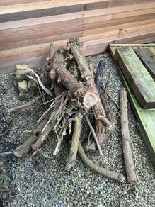 Free firewood