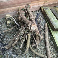 Free firewood