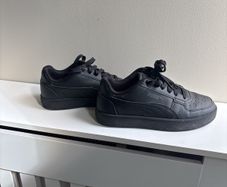 Black Puma