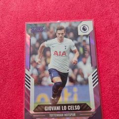 Lo celco /15 panini score