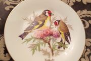 vintage Arklow display wall plate