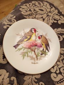vintage Arklow display wall plate