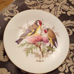 vintage Arklow display wall plate