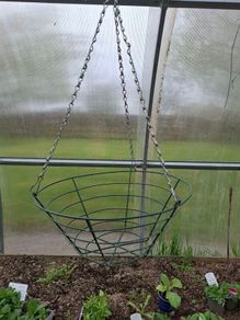 Hanging baskets