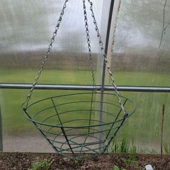 Hanging baskets