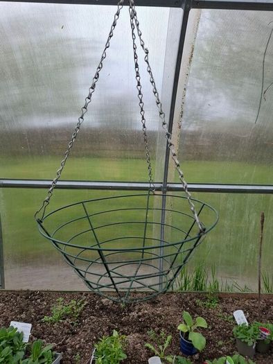 Hanging baskets