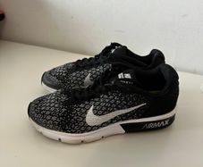 Nike air max trainers