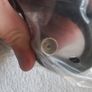 RF Male to Female Aerial Television Cable for Retro Games Consoles & Computers Image 2