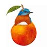 3 for 20e !!! Decorative brand new summer candle gift set artichoke strawberry peach birds Image 6