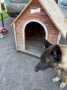 Dog kennel