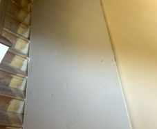 insulated plaster board