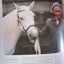 The World of The Irish Horse / 1992 Image 7