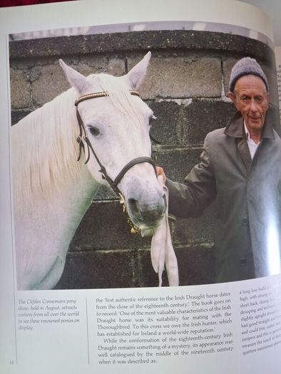 The World of The Irish Horse / 1992