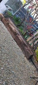 railway sleeper