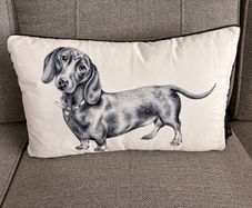 Mixed Decorative Cushions