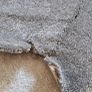 carpet remnant Image 2