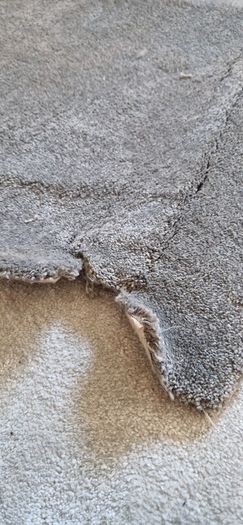 carpet remnant