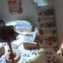 Dolls House Image 6
