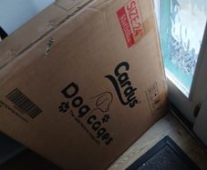 Dog crate