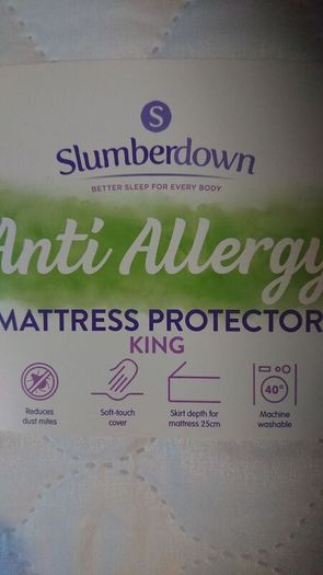 Anti Allergy Matras Protector