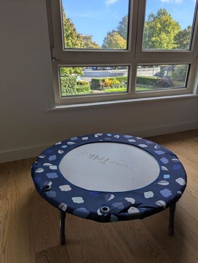 SmartTrike trampoline
