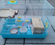 Hamster cage and some staff