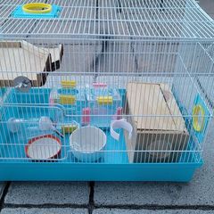 Hamster cage and some staff