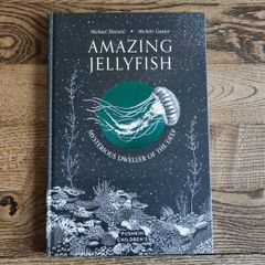 Amazing Jellyfish: Mysterious Dweller of the Deep by Michael Stavaric, Age 9+