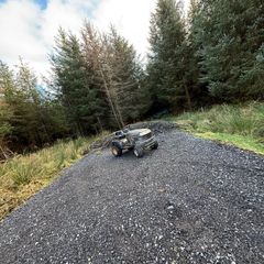 Mucholach lawnmower