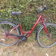 Ridge Back Ladies Bike