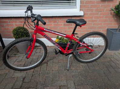 Boys Bicycle 19inch would suit 8-12 year old