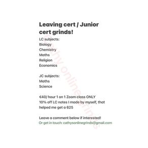 Leaving cert and junior cert grinds