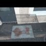 Large dog cage Image 6